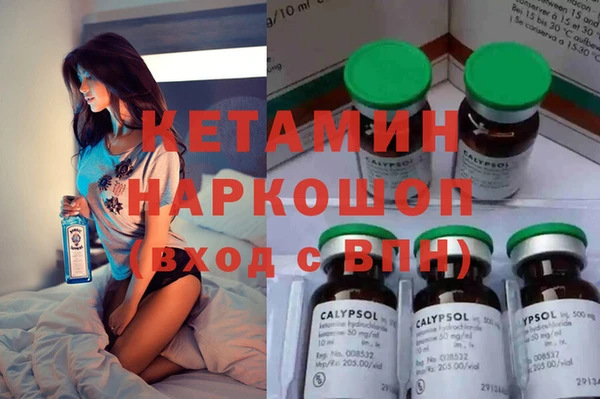 сатива Алзамай