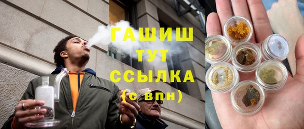 сатива Алзамай